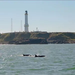 Lighthouse With Hottub Holiday home